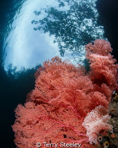 'A pool just isn't the same as the ocean. It has no energ... by Terry Steeley 